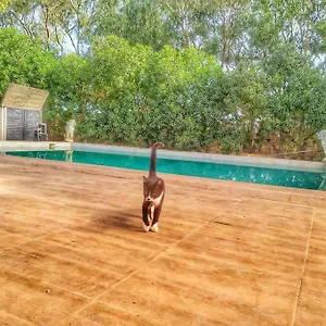 Granja America Apartamento
